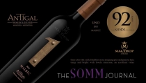 Rượu vang số 1 antigal argentina malbec 2013