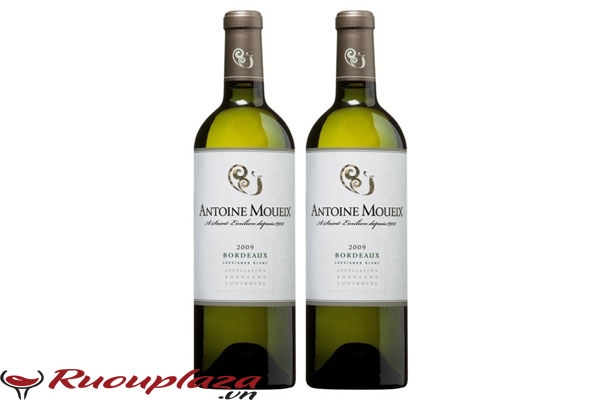 Rượu vang Pháp Bordeaux Antoine Moueix